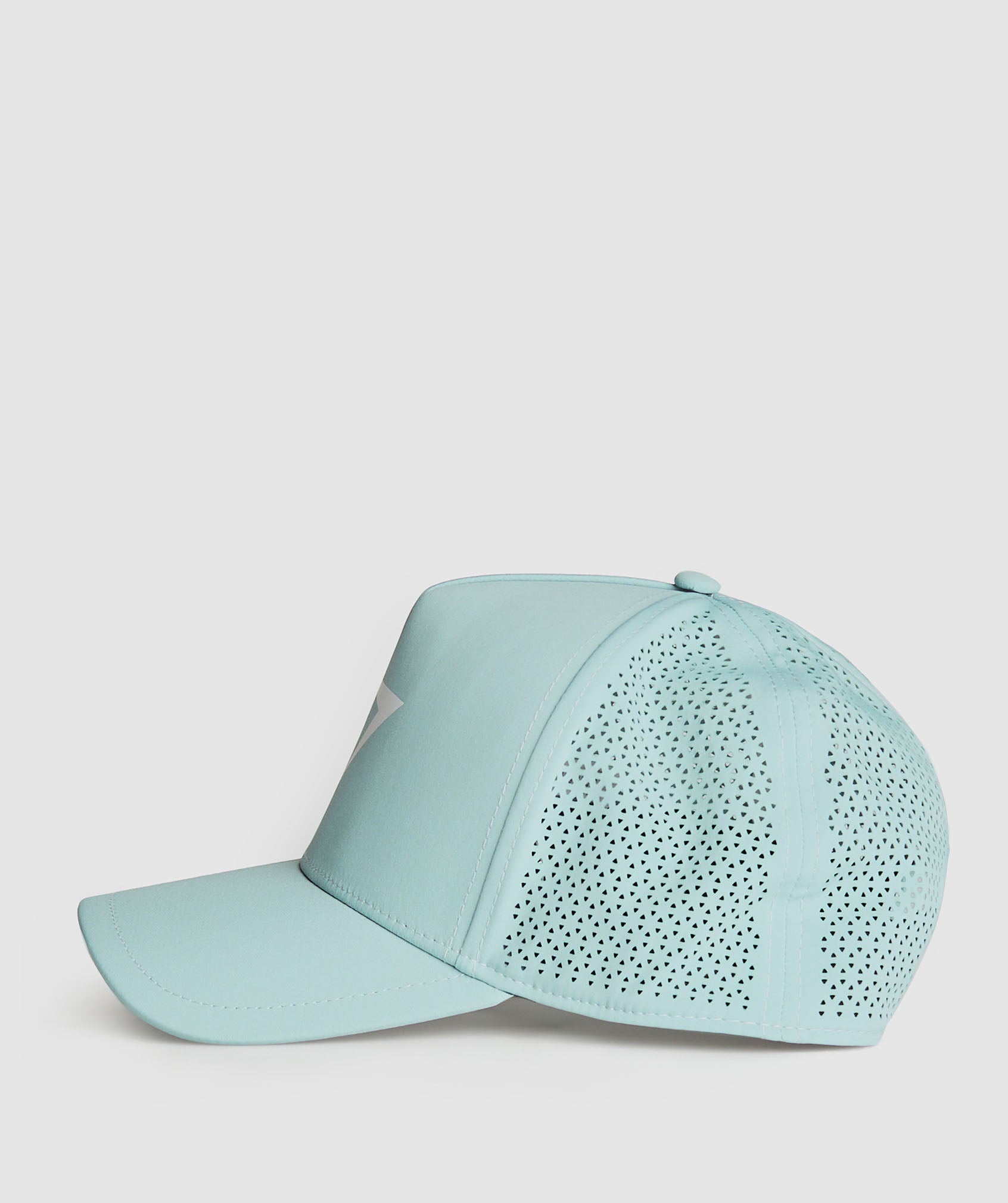 Mesh Trucker