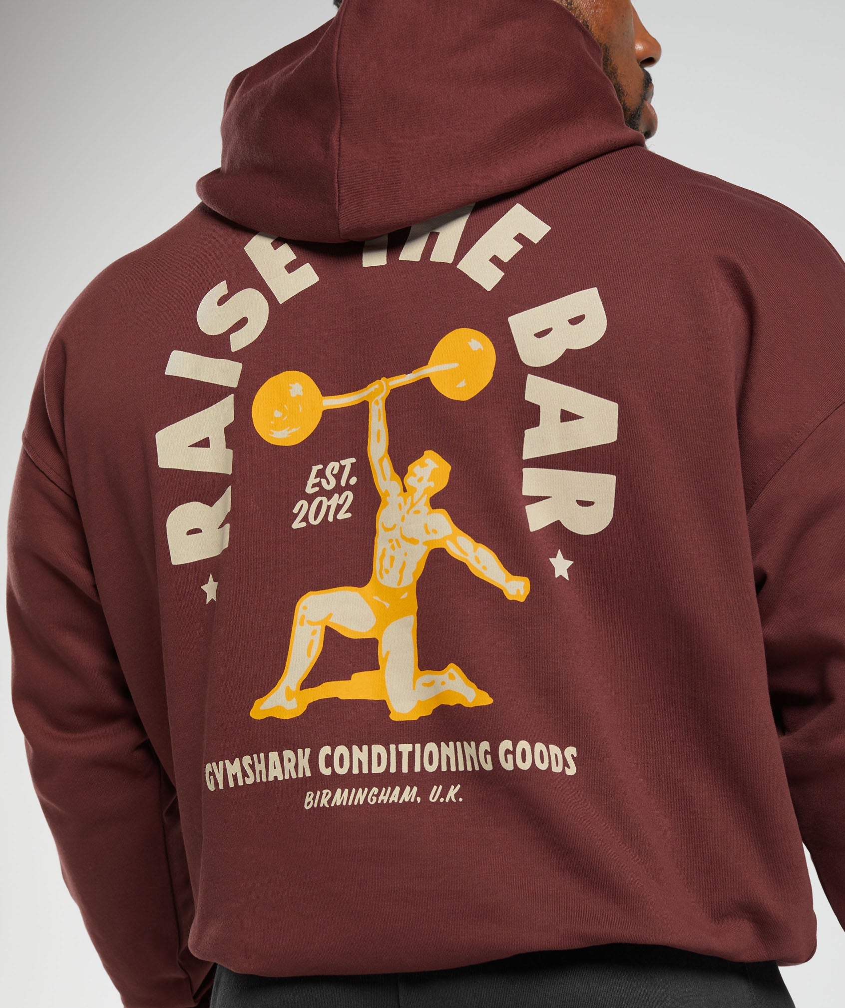 Raise the Bar Hoodie in Burgundy Brown - view 6