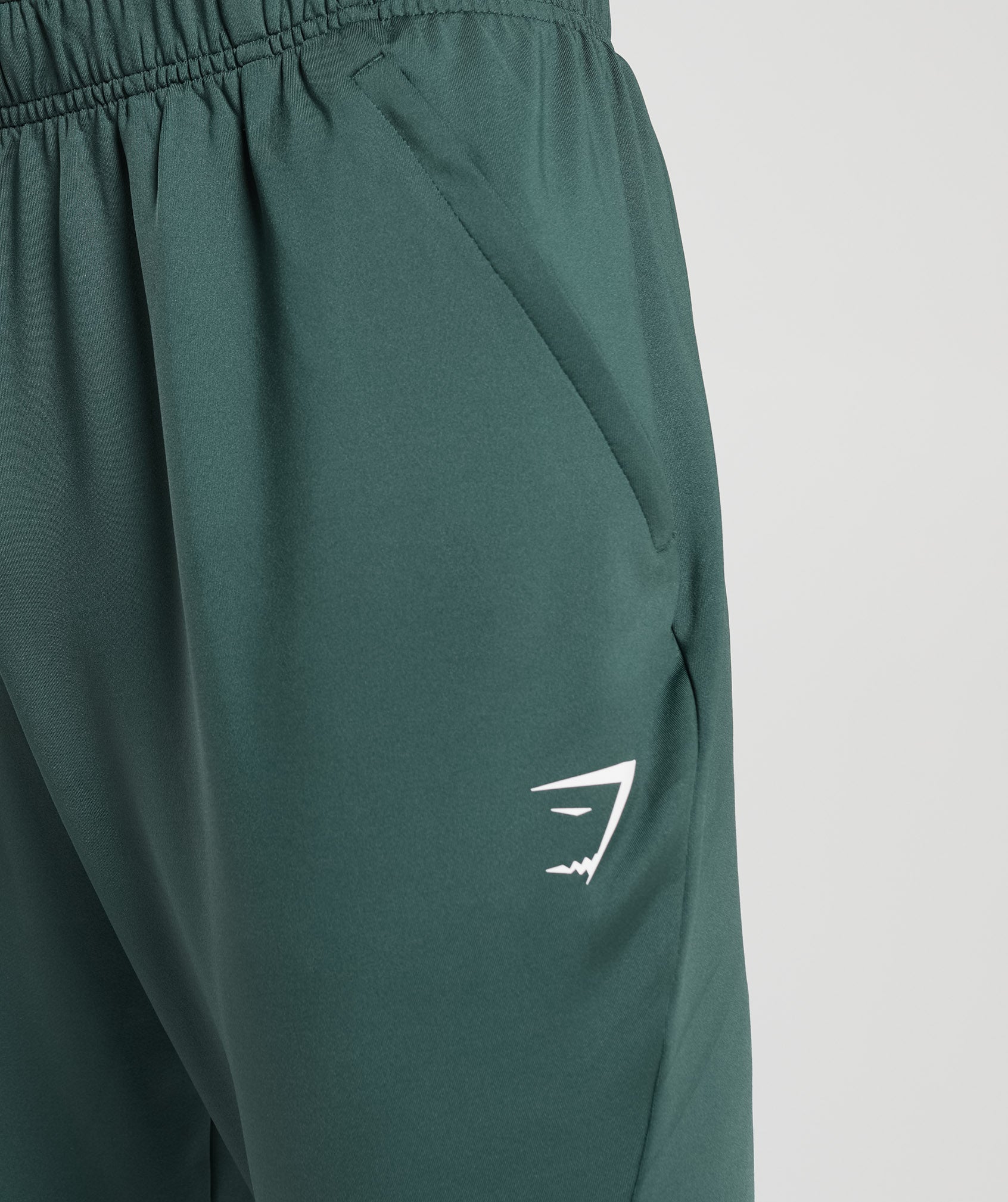 Sport Joggers in Fog  Green - view 5