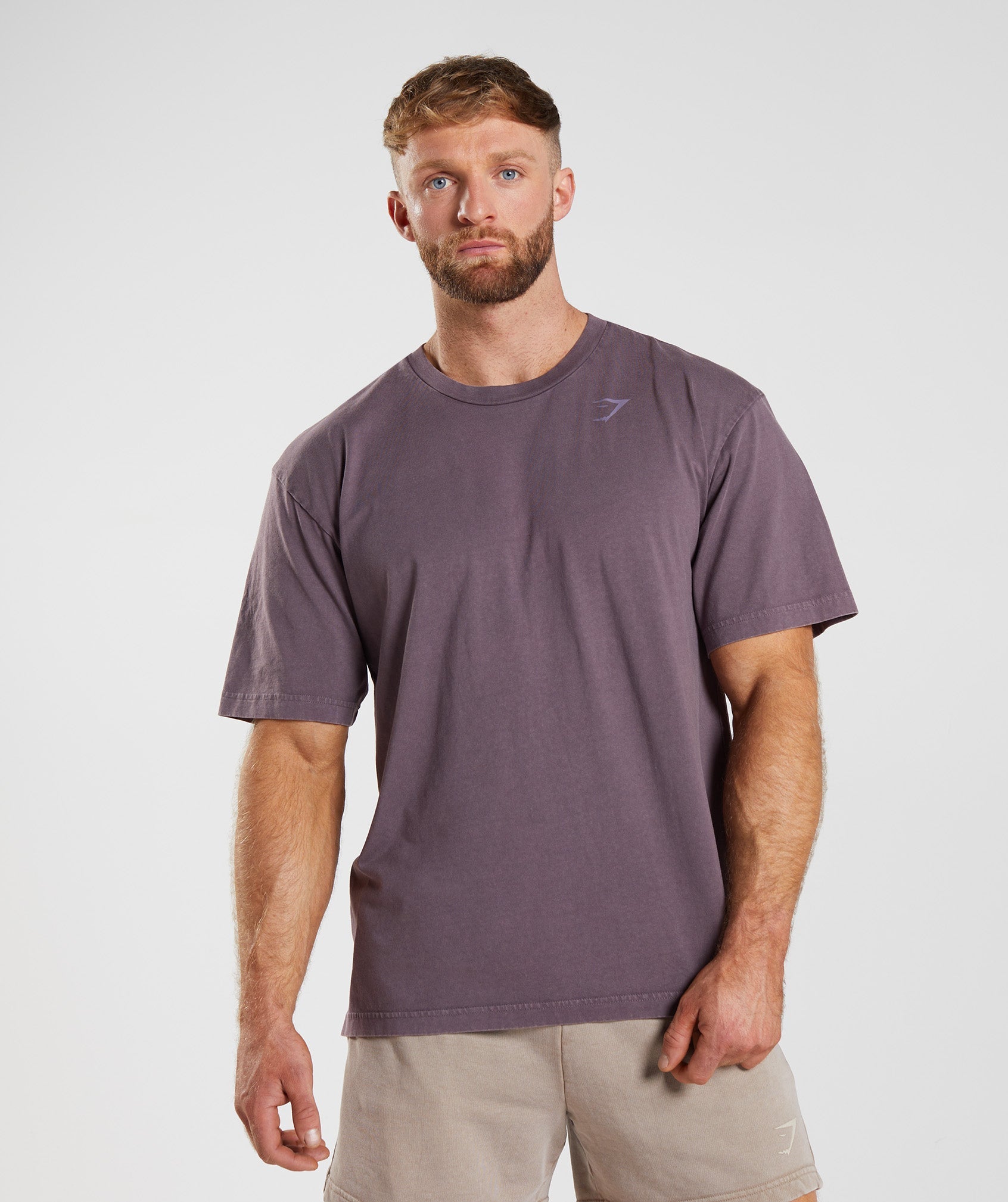 Power Washed T-Shirt in Musk Lilac