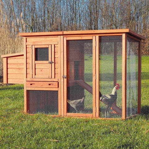 That Chicken Coop Free Shipping L Factory Direct L Save Time Money