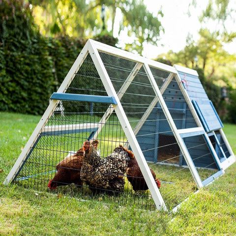 Advantek A Frame Chicken Coop With Wheels 3 4 Hens