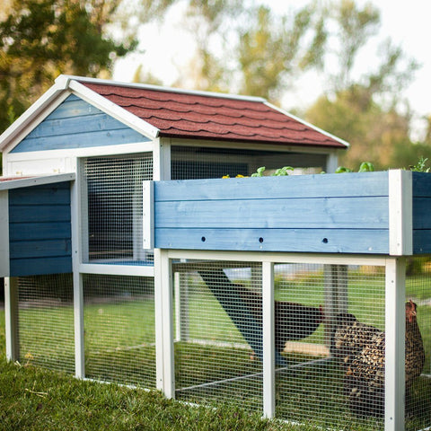 Advantek Rooftop Garden Chicken Coop 2 3 Hens