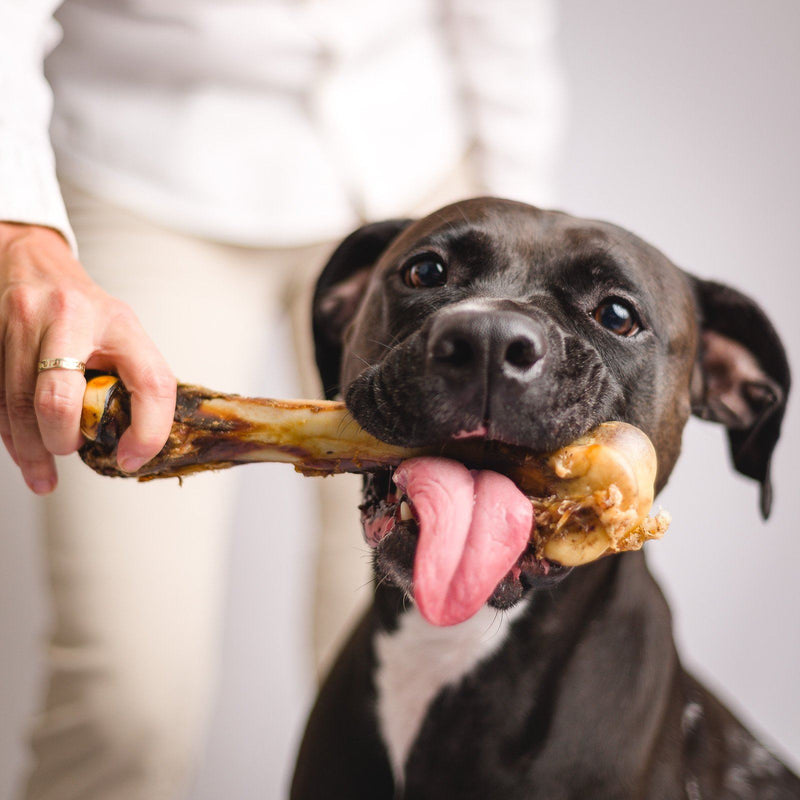 are natural bones good for dogs