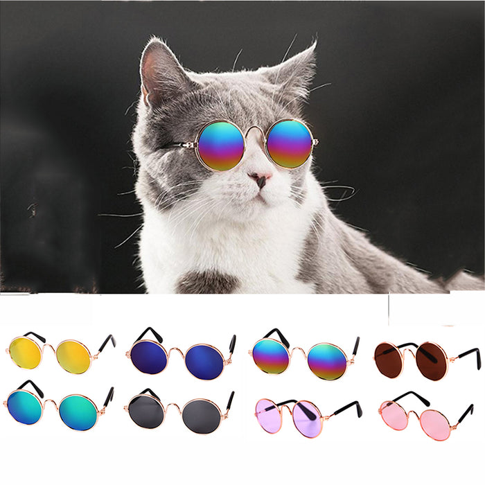 Cute Cat and Puppy Sun Glasses - Toyzor.com