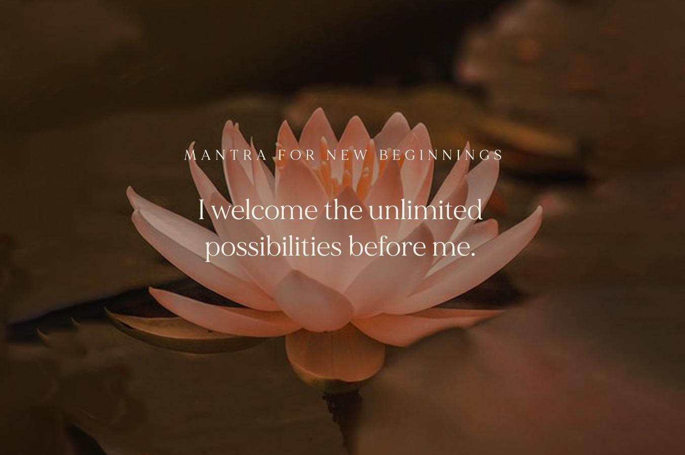 https://www.satyajewelry.com/collections/lotus-1