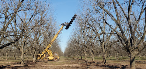 heavy machinery with sawblades trimming pecan trees