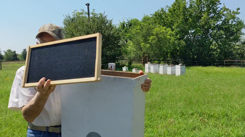 Beekeeping Swarm Trap