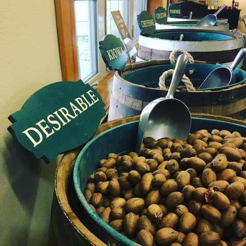 pecans in the shell in barrels ready to be scooped