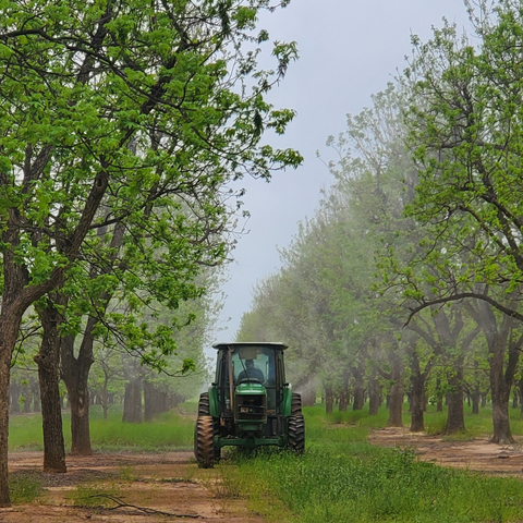 farm equipment spraying trees