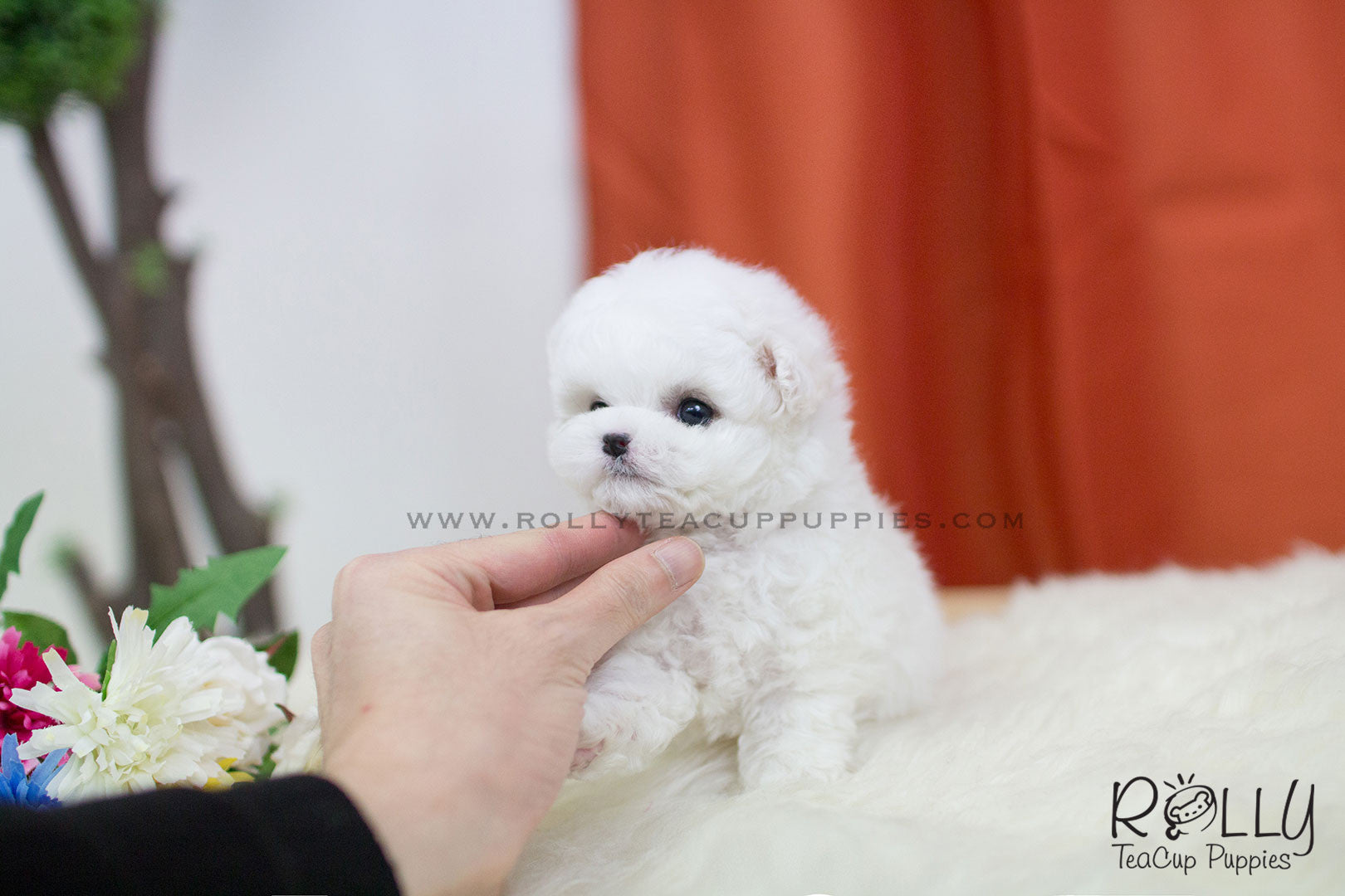 fluffy puppies toy