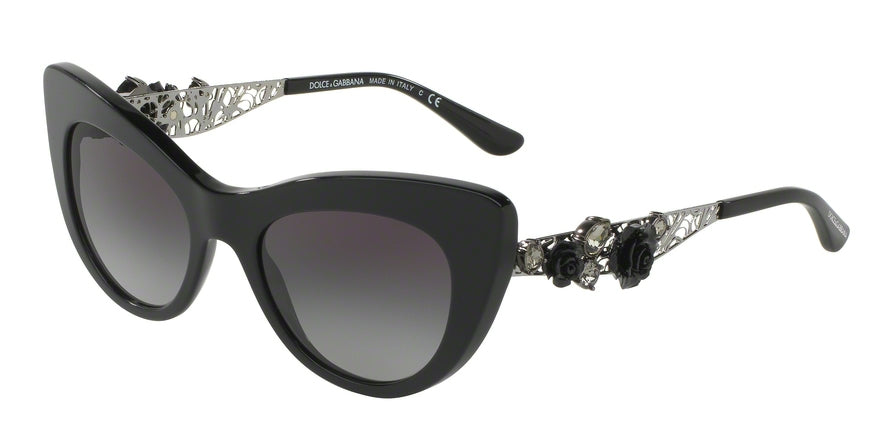 DOLCE & GABBANA DG4302B Cat Eye Sunglasses