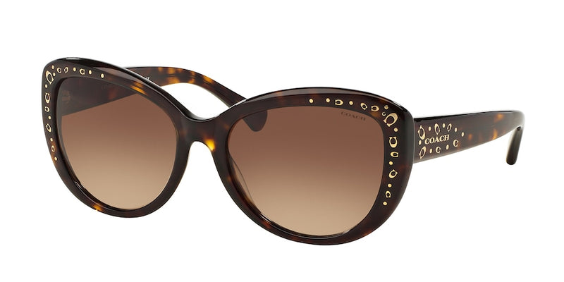 Coach HC8162 L147 Cat Eye Sunglasses For Women