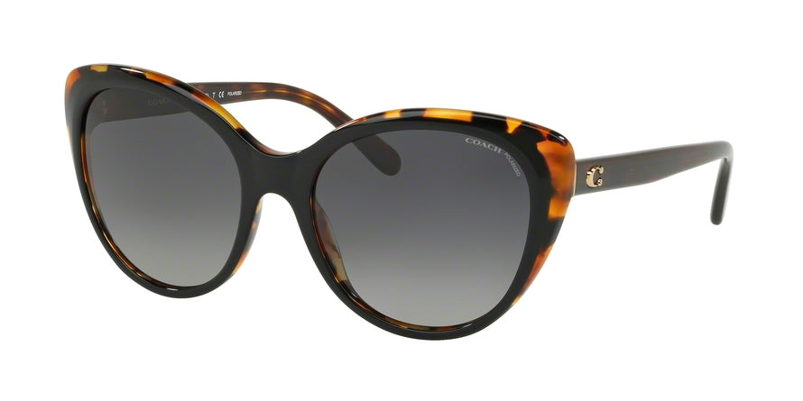 Coach HC8260 L1060 Cat Eye Sunglasses For Women - AllureAid.com