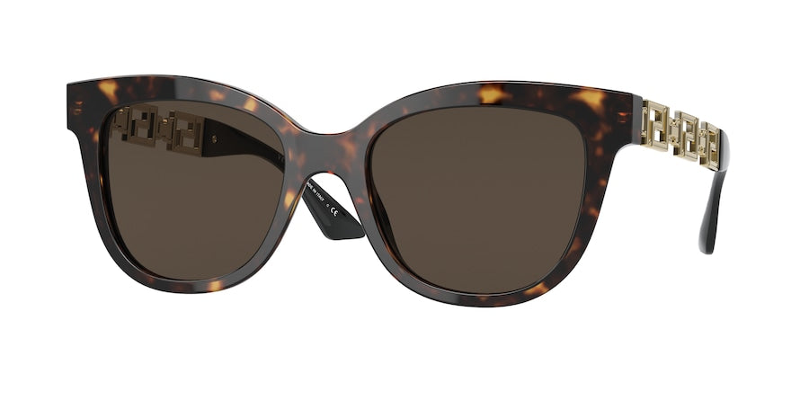 Versace VE4394F Cat Eye Sunglasses For Women – AllureAid.com