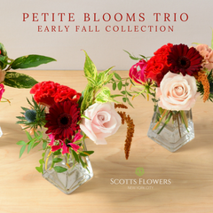 Petite Bloom Bud Vases original designs by Scotts Flowers NYC