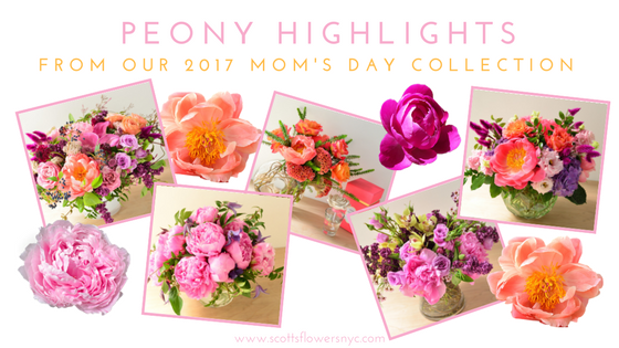 ScottsFlowersNYC2017MothersDayCollection