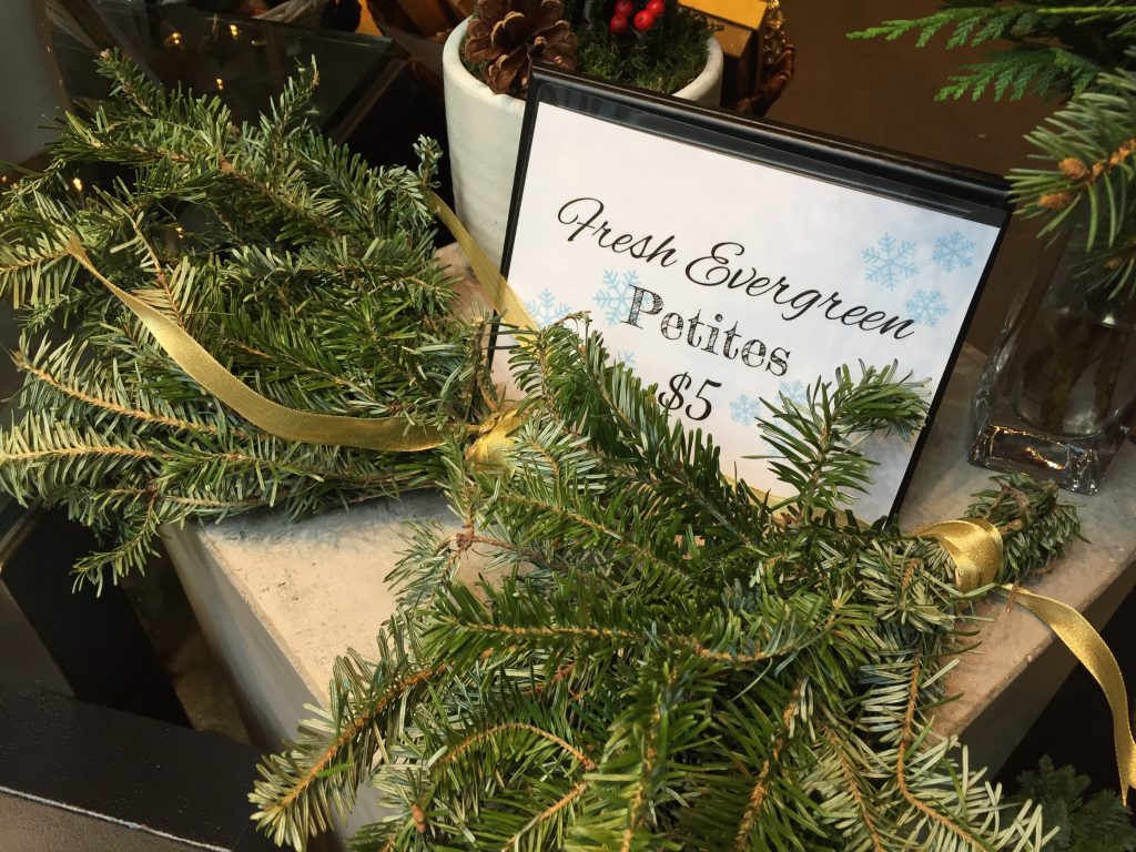 2016 Holiday Gifts at Scotts Flowers NYC christmas holiday accent decor evergreen gift floral