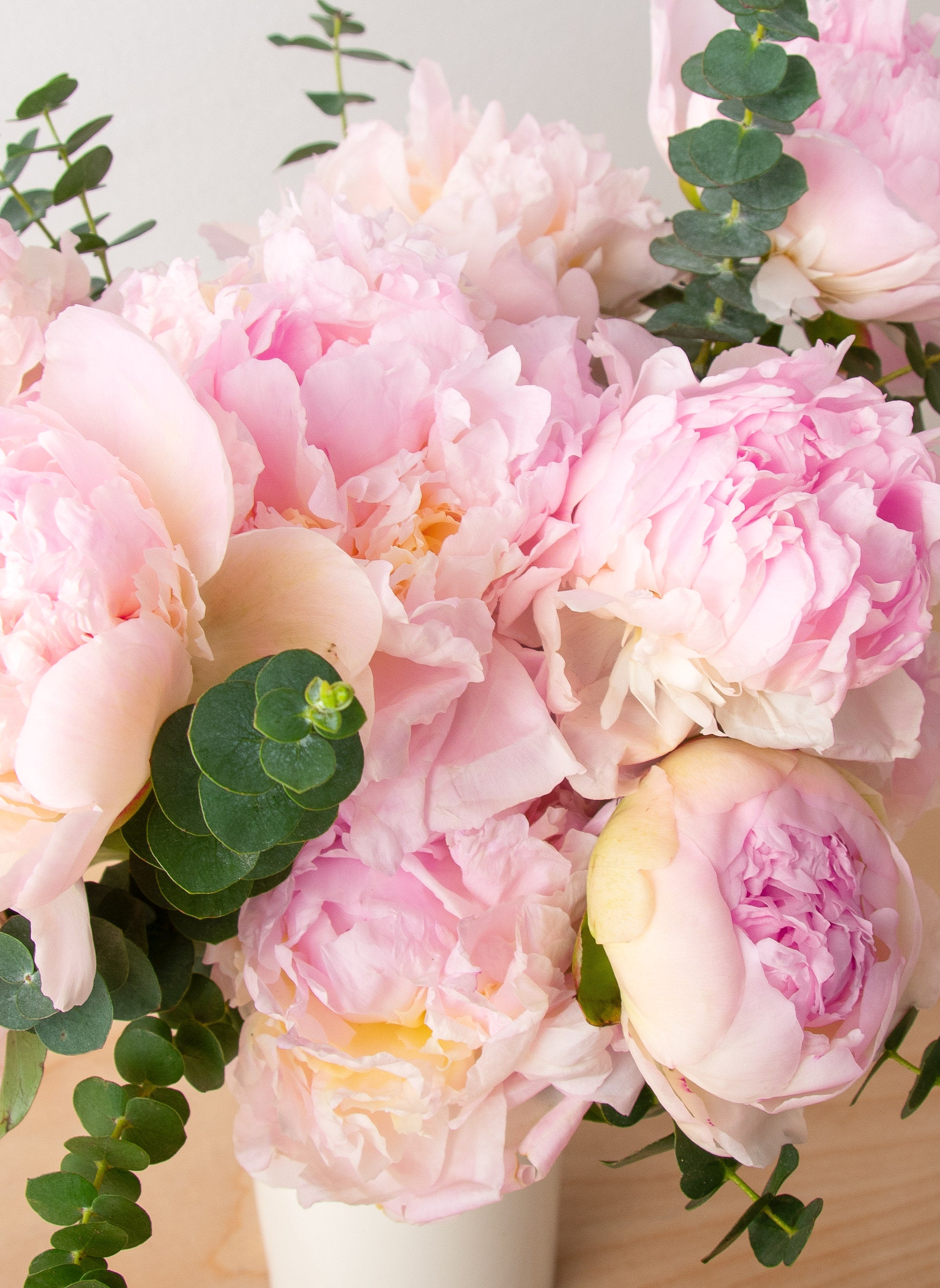 Chic Peonies - Pink-image-2