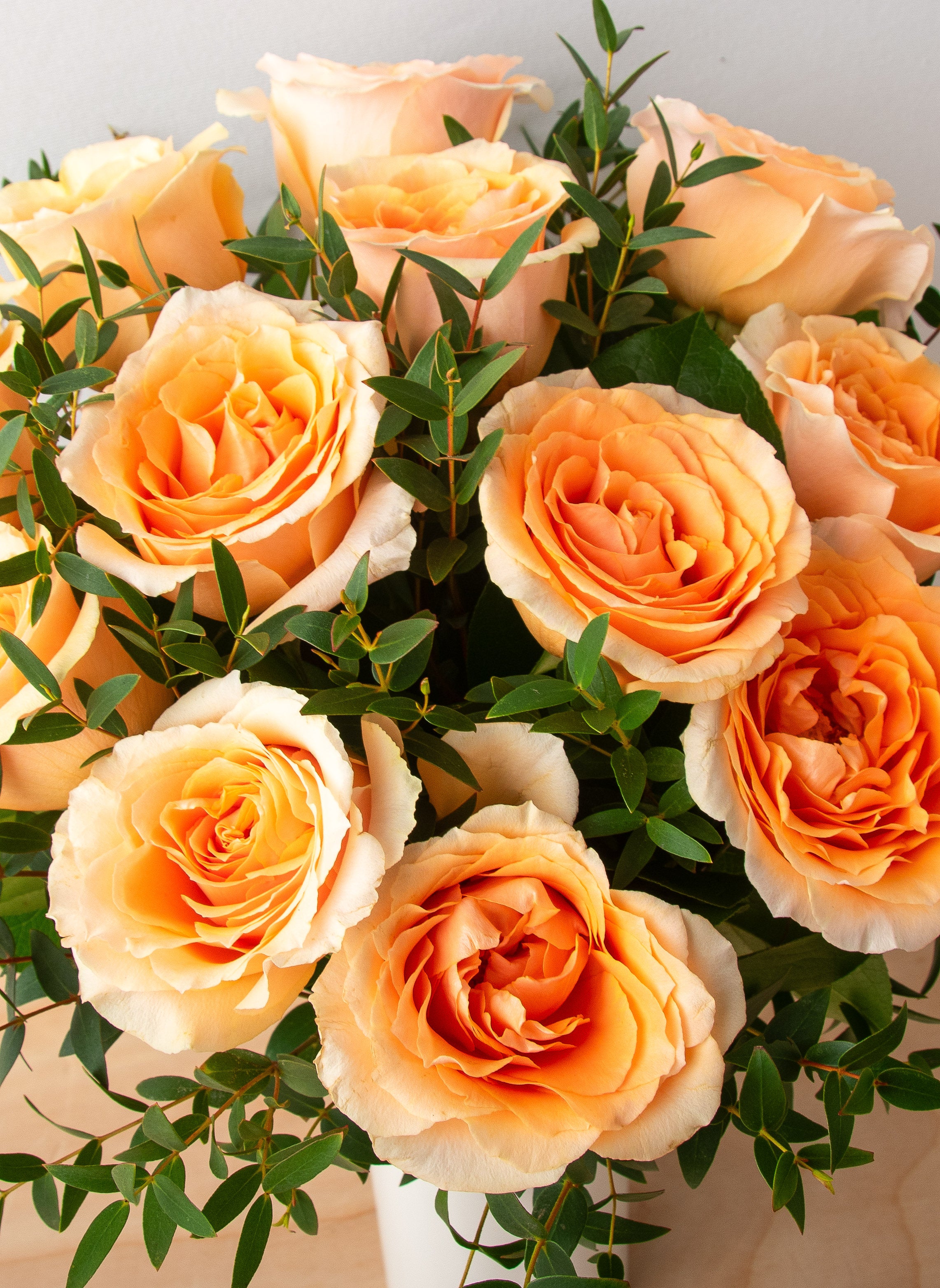 Chic Roses - Peach-image-2