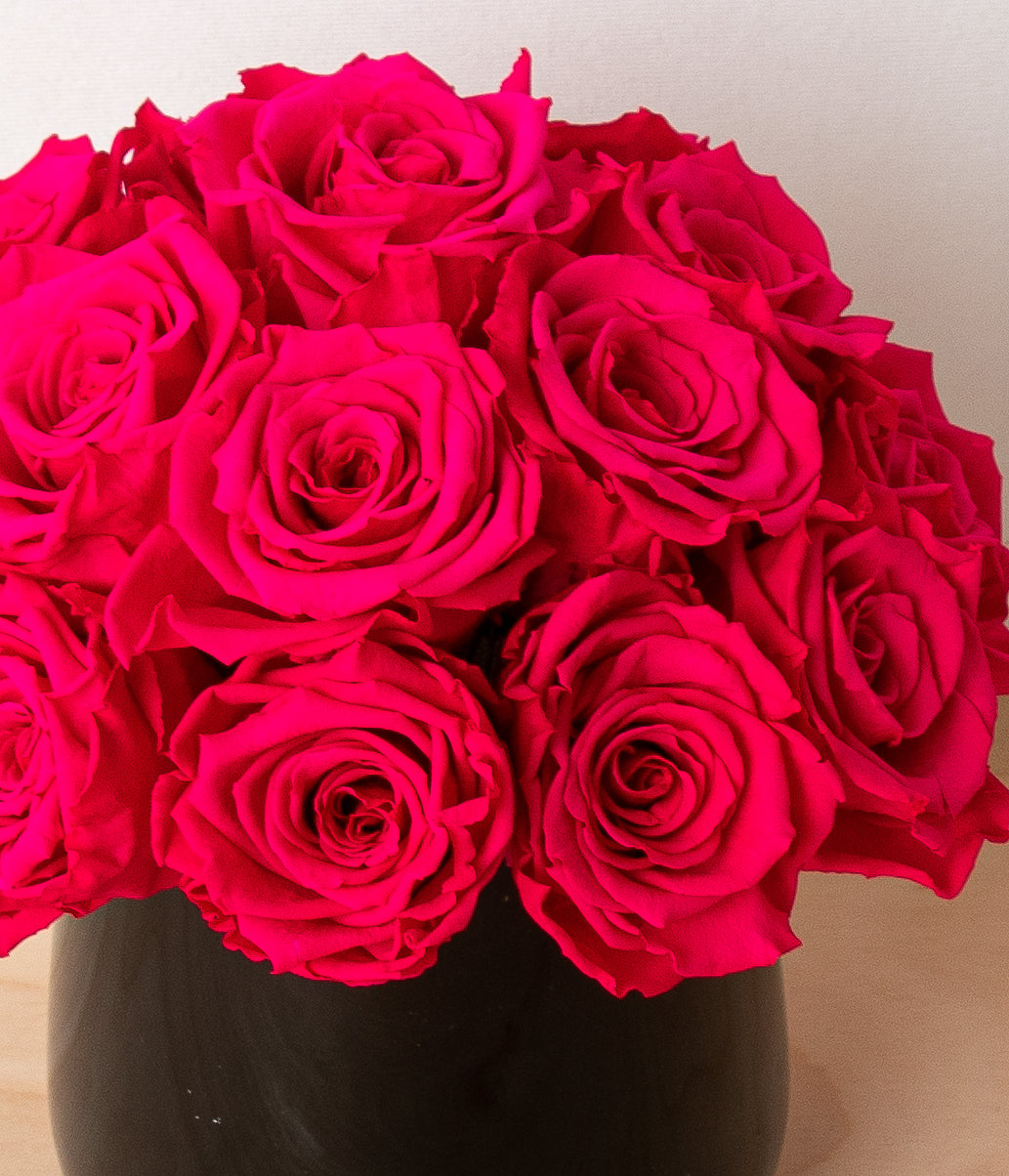 Always & Forever Roses - Fuchsia-image-2