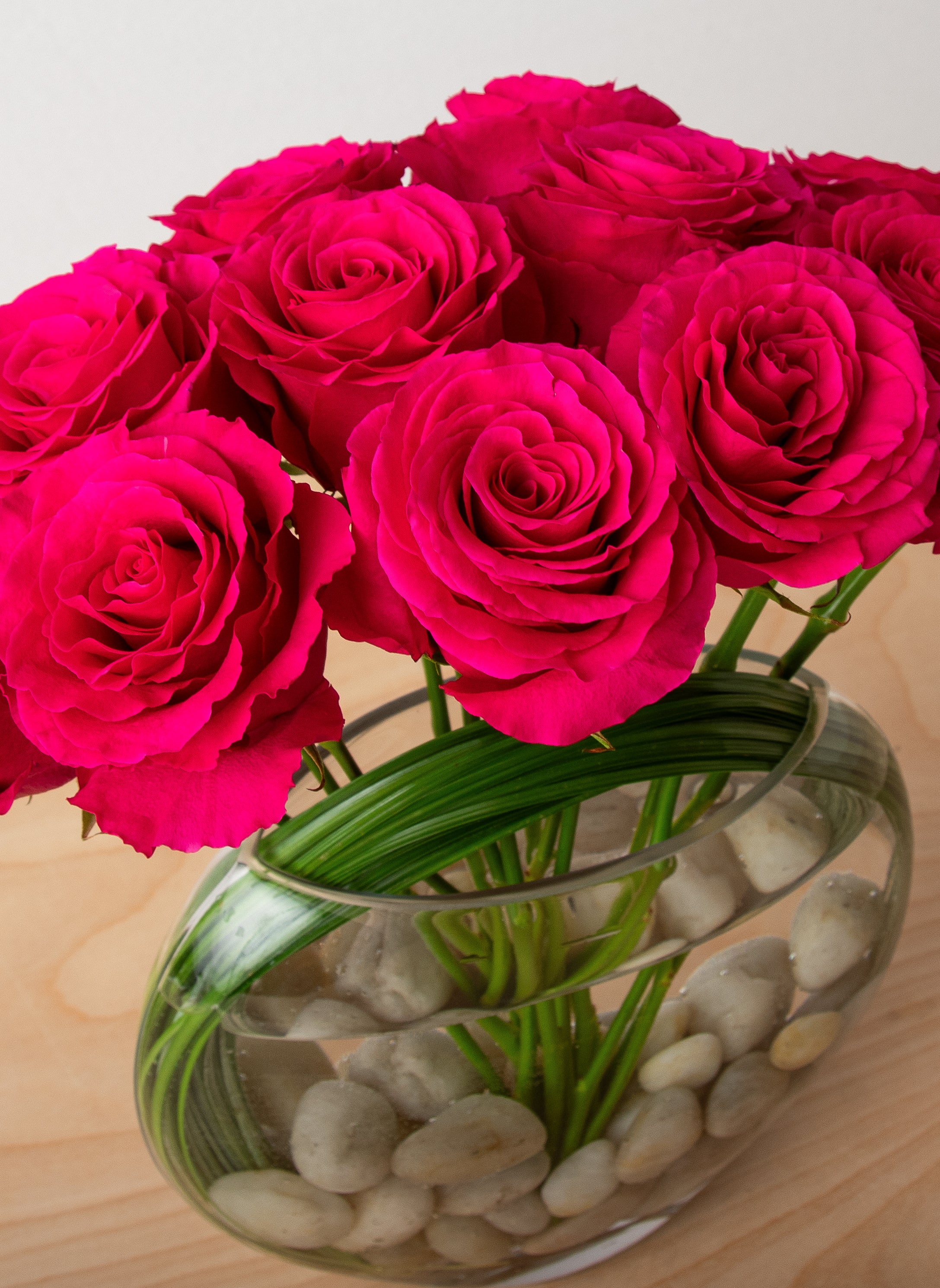 Modern Roses - Hot Pink-image-2