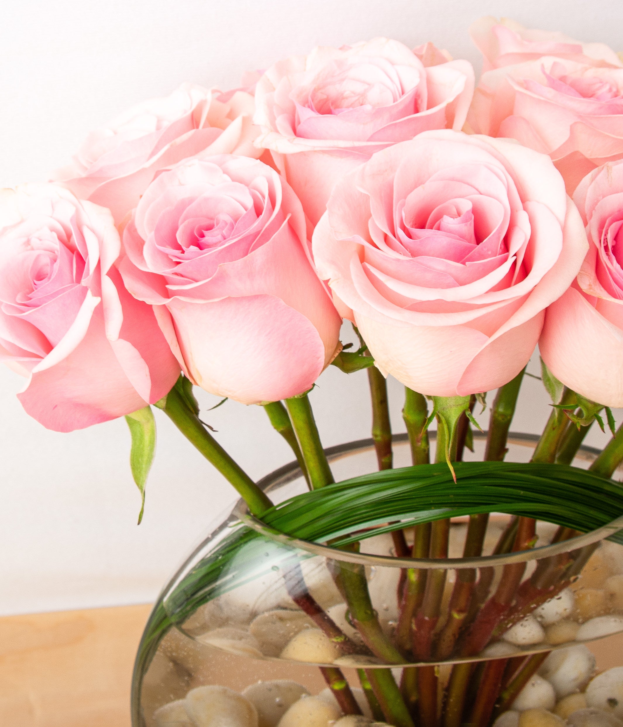 Modern Roses - Pink-image-2