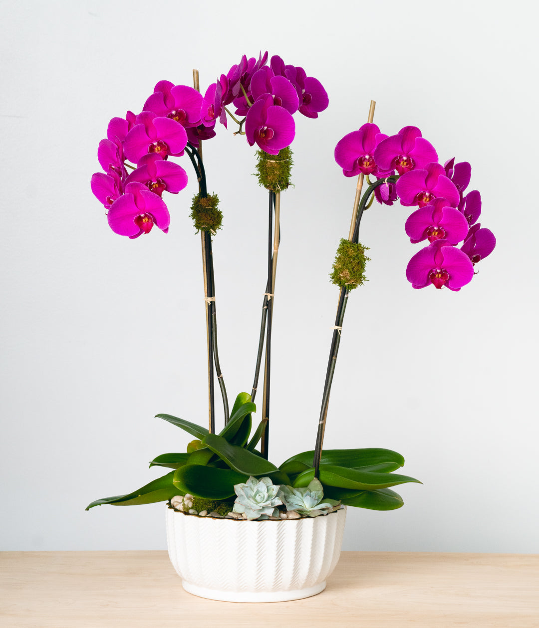 Purple Orchid - Triple-image-1