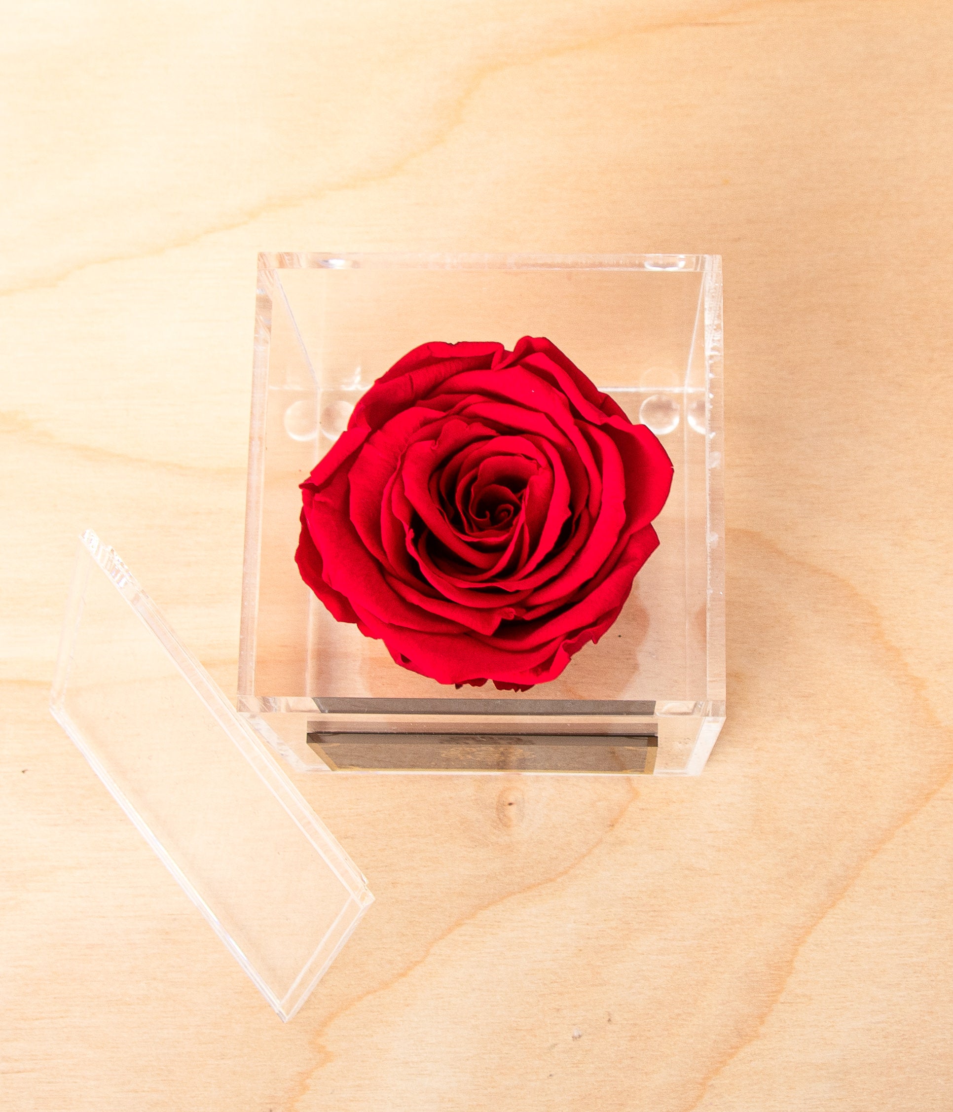 4 Eternal Roses in an Acrylic Box + Black Gift Wrap