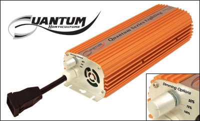 quantum 1000w ballast