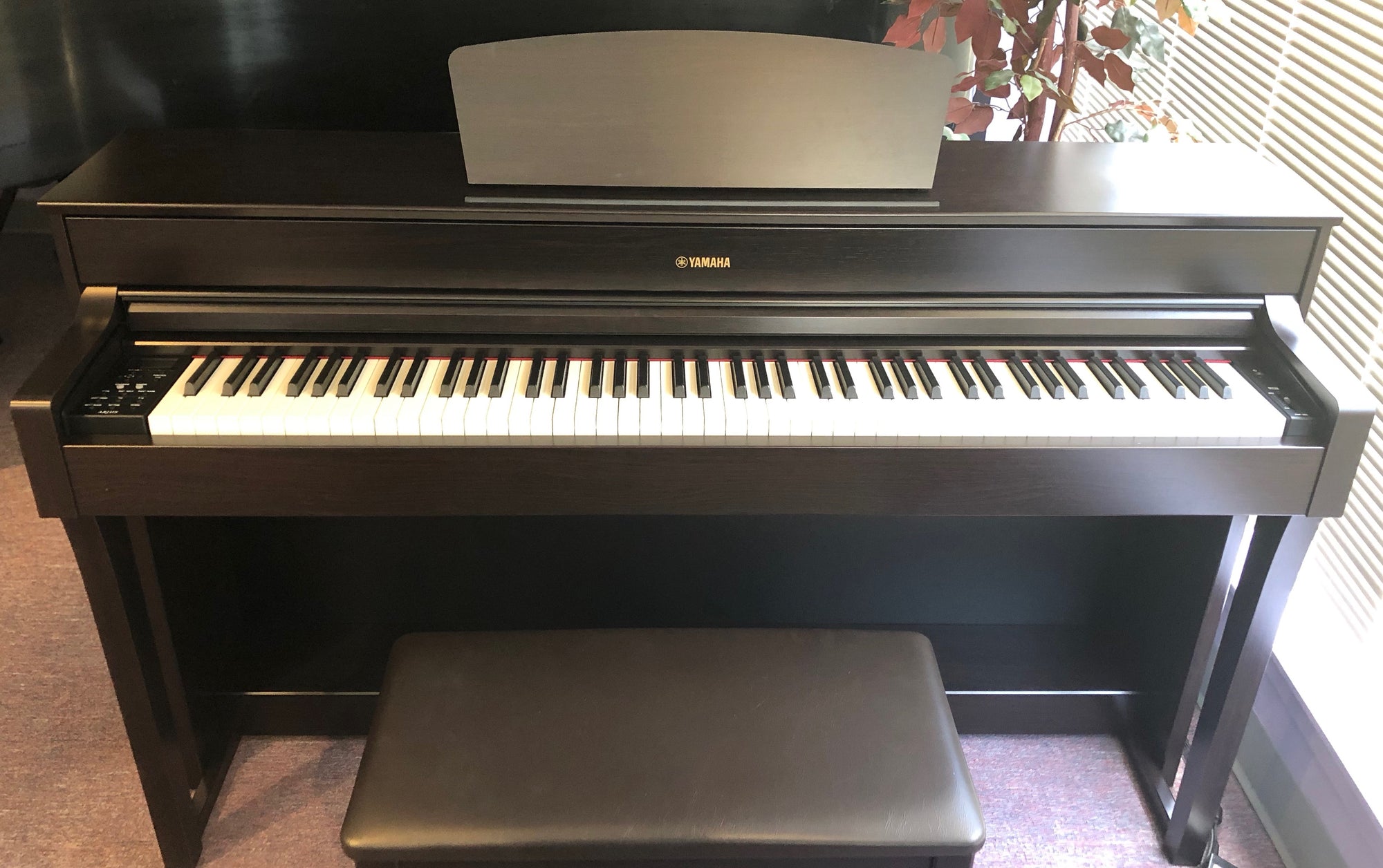 Yamaha Digital Piano Arius YDP184R H & H Music