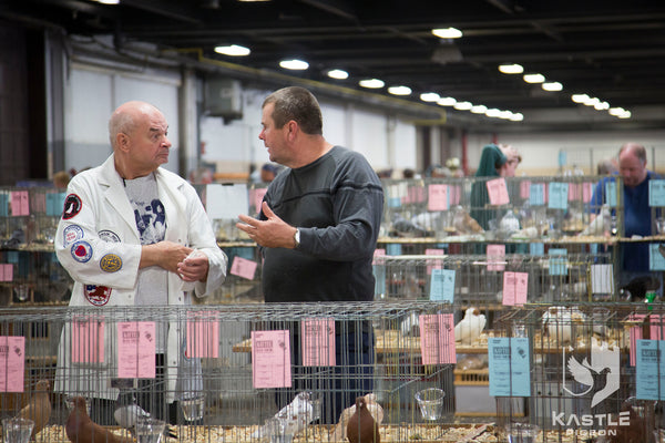 Fancy Pigeon Show Photo