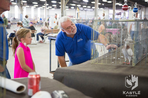 Fancy Pigeon Show Photo