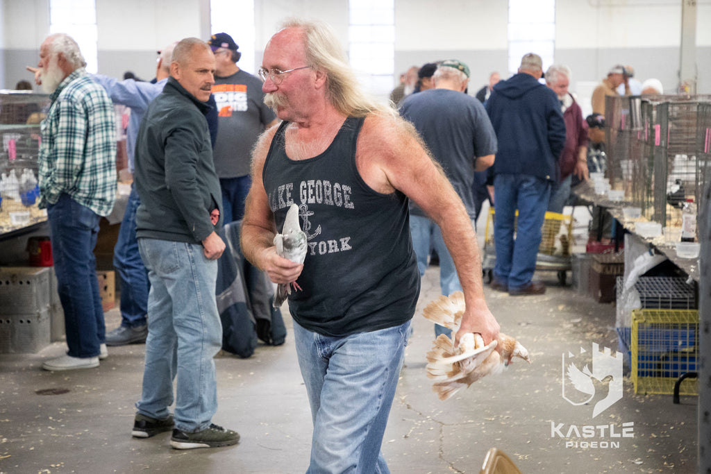 National Young Bird Pigeon Show