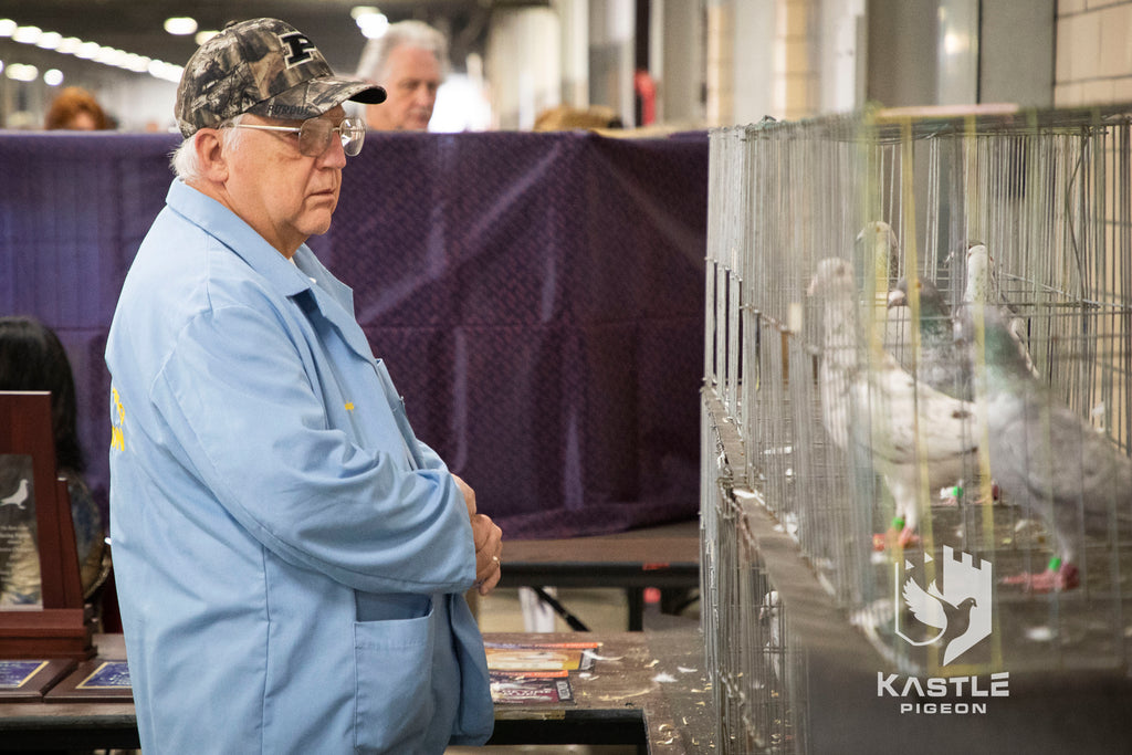 National Young Bird Pigeon Show