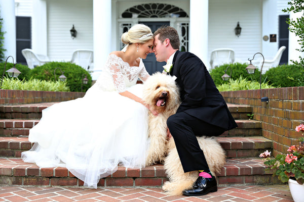 wedding dog