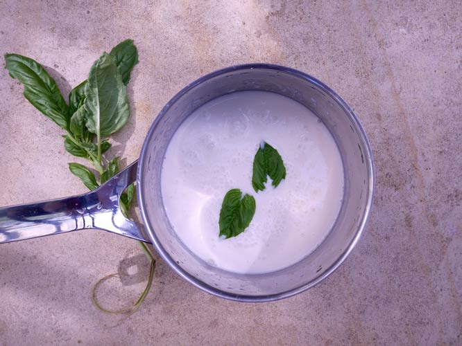 Panacotta Recipe created by Jules & Green for Bastide