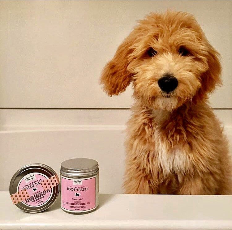 organic puppy toothpaste