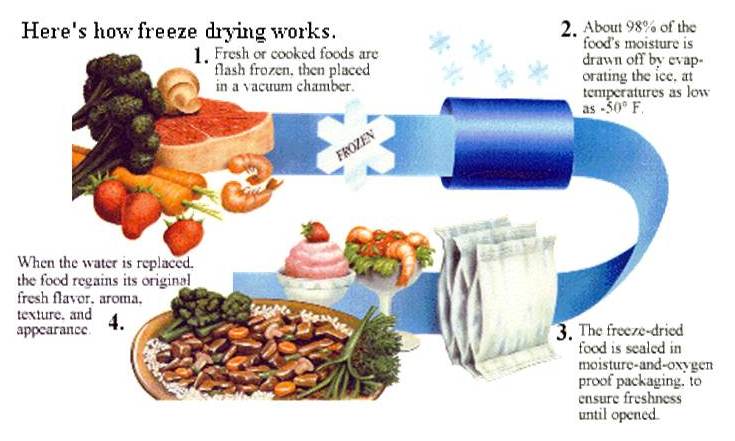 What We Do - Shepherd Foods - Freeze dry processor