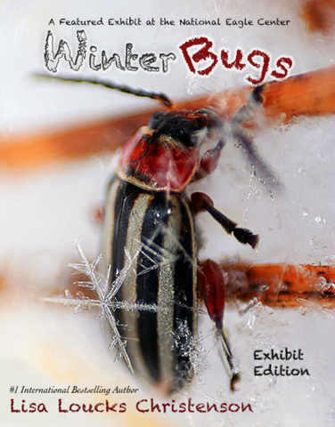 Winter Bugs Exhibit opens 11/26/2021