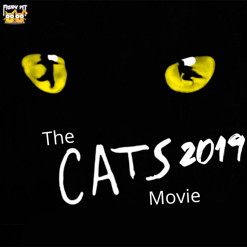 Cats 2019: Let's Talk About the Cats Trailer! - FreakyPet