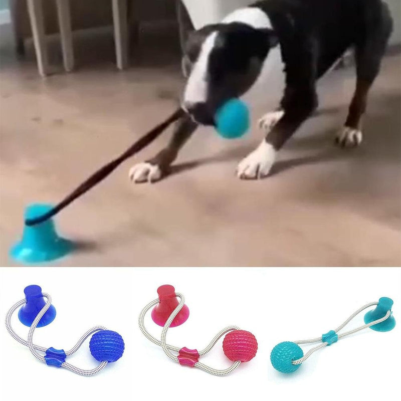 dog suction toy