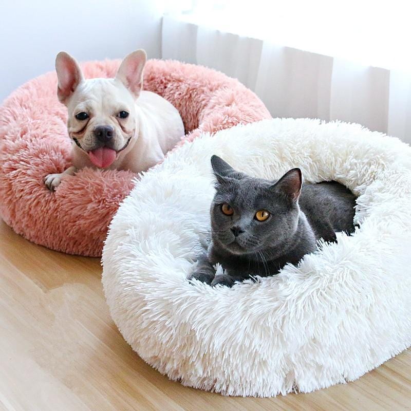 fluffy dog bed