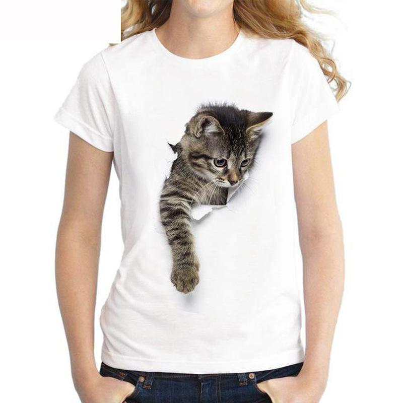 cat in t shirt