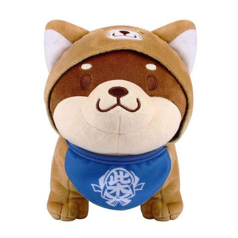 shiba teddy