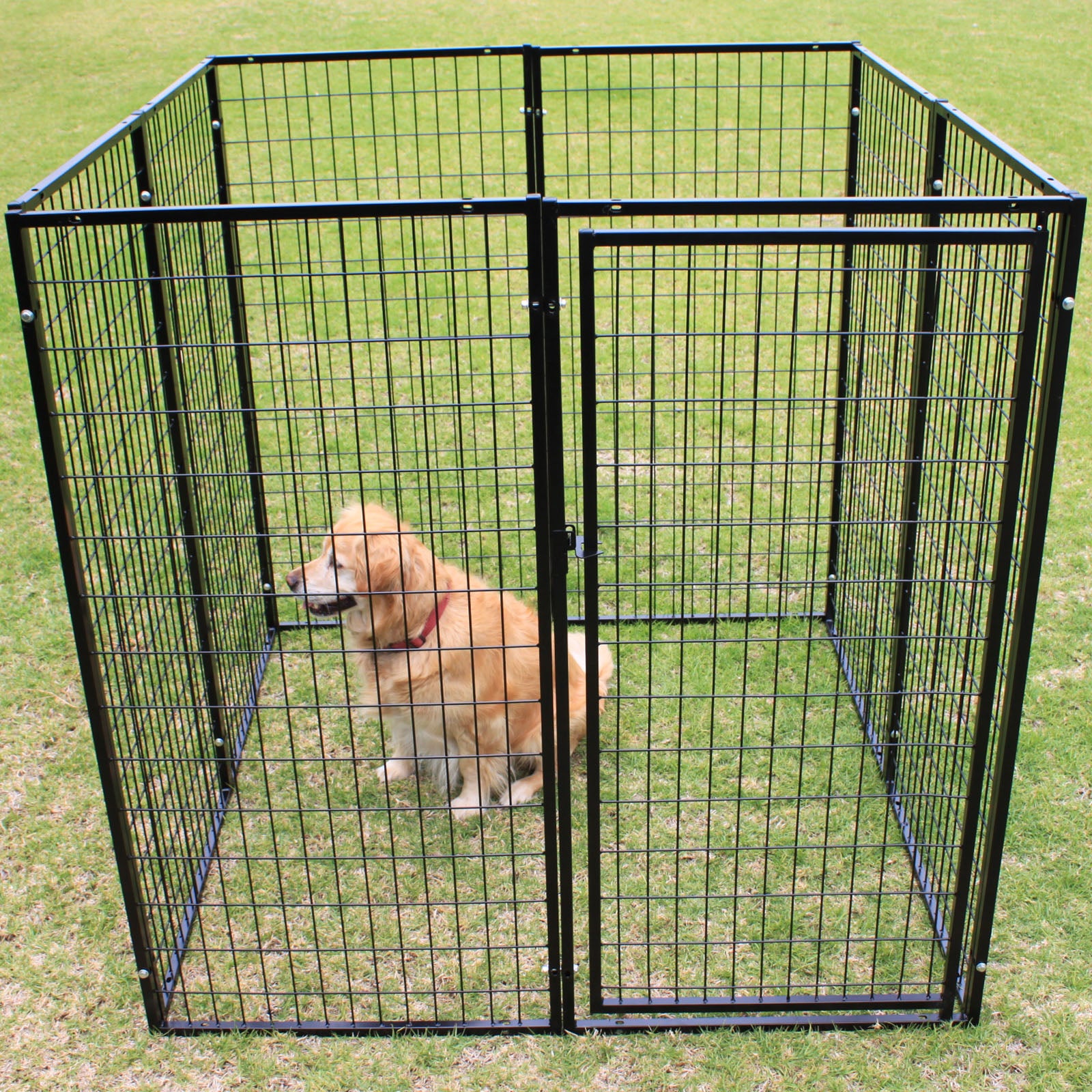 large dog pen