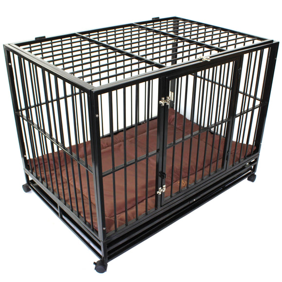 buy dog crate