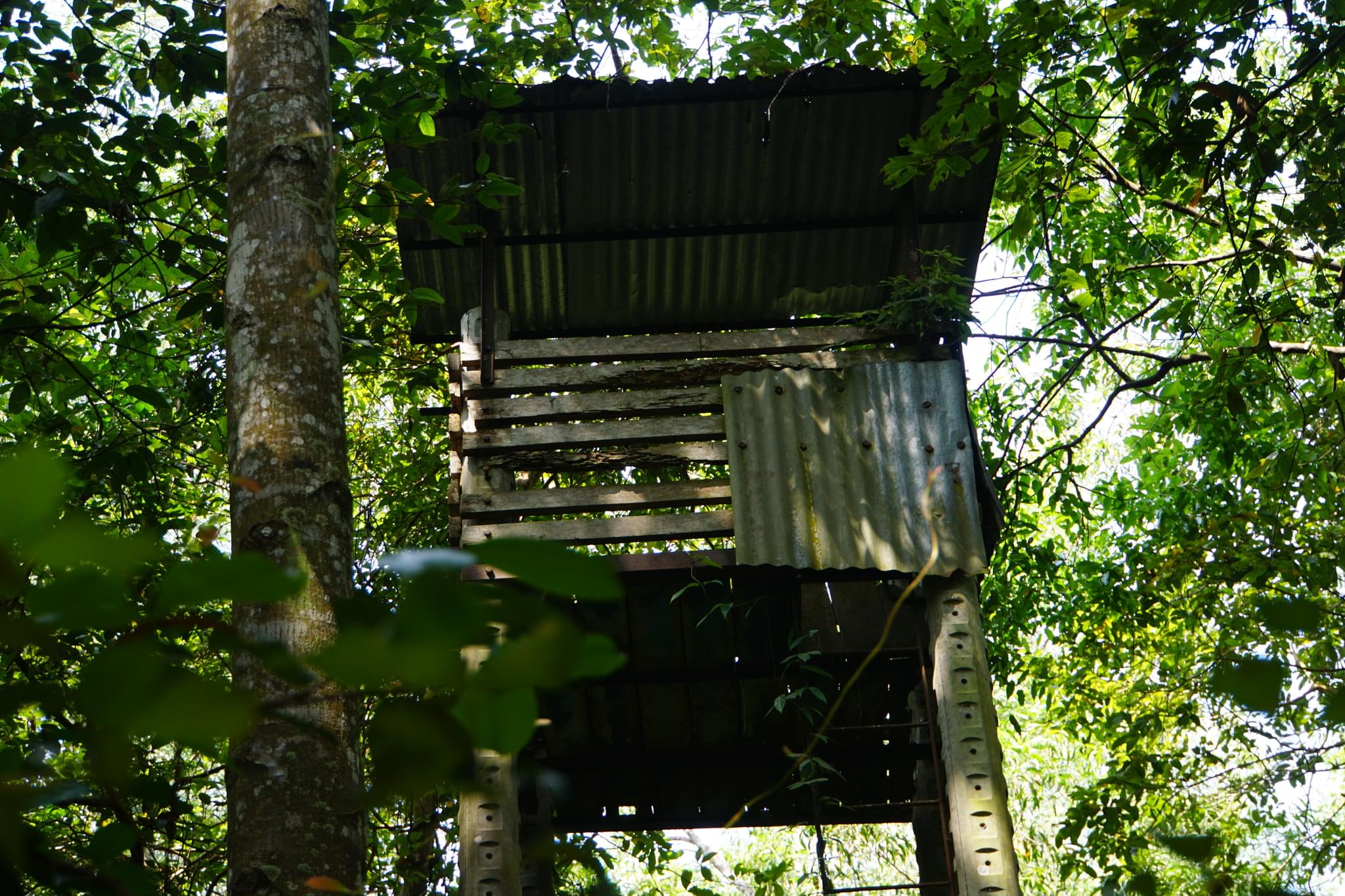 Vietnam War Tunnels, Traps and Quarters