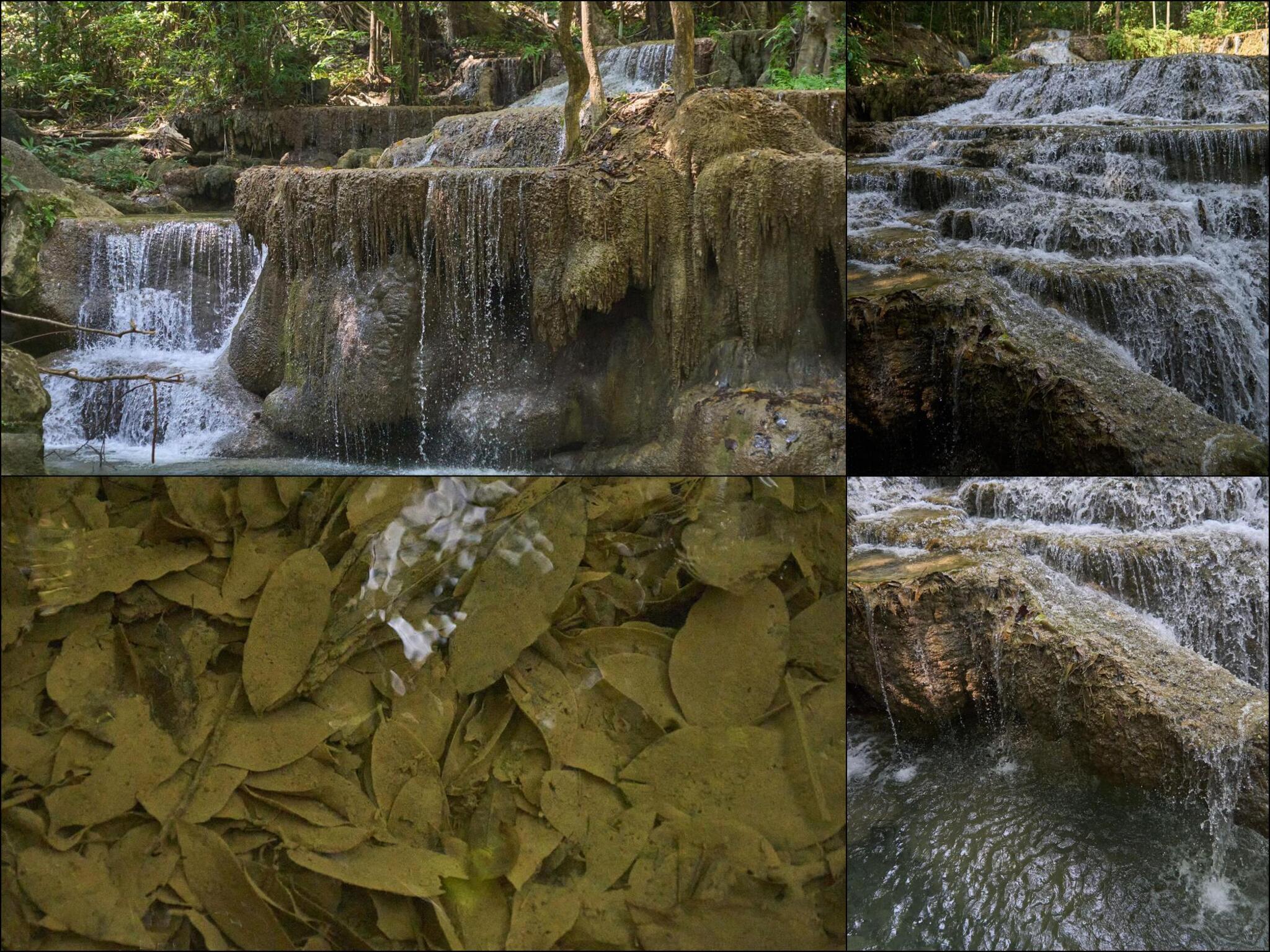 Travertine Terrace Jungle Waterfall