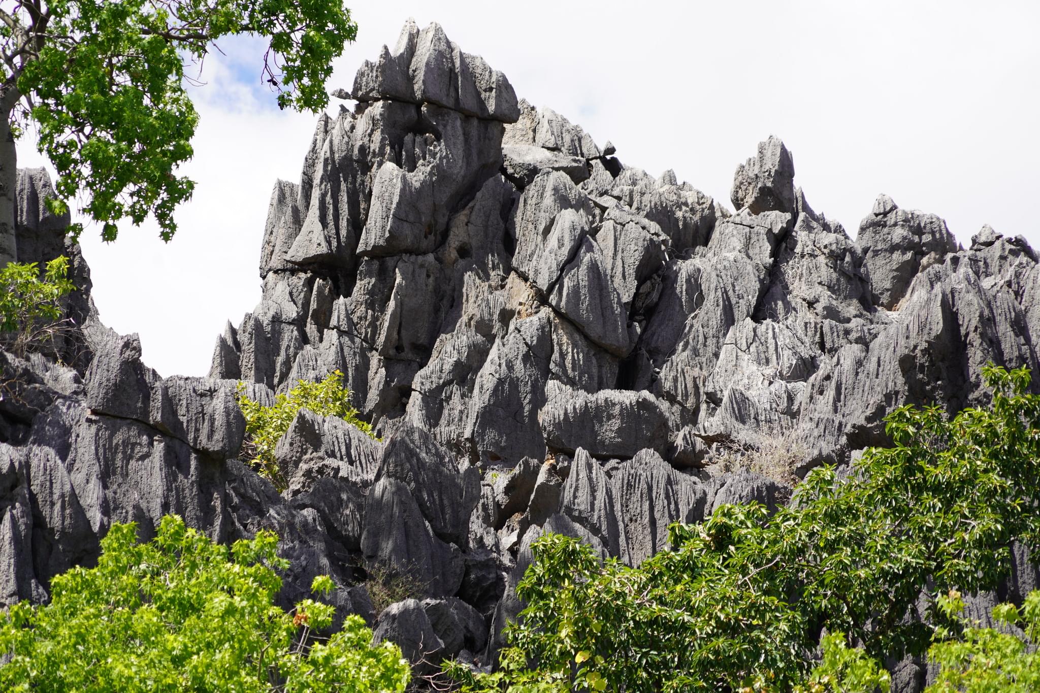 Limestone Castle Rock Formation